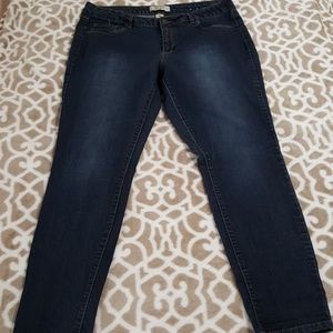 Plus Size Jeans